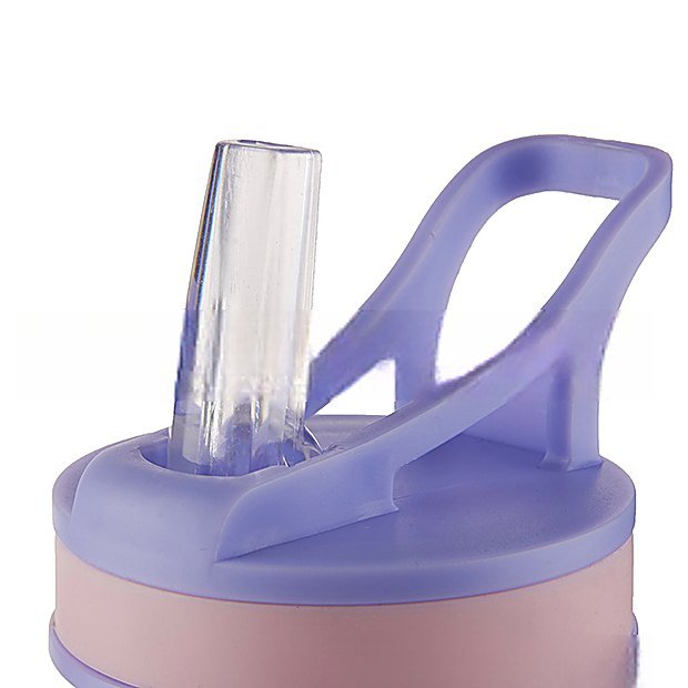 500 ml Straw Lid Carry Handle Sport Water Bottle