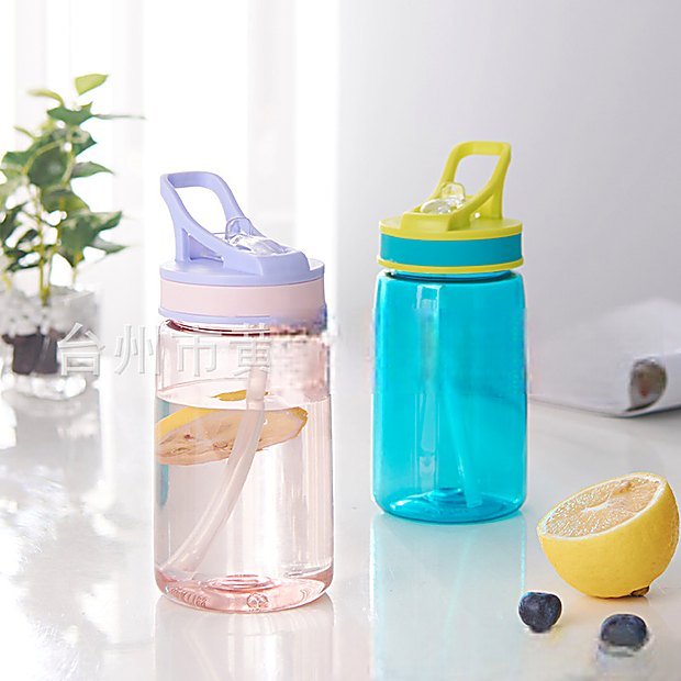 500 ml Straw Lid Carry Handle Sport Water Bottle