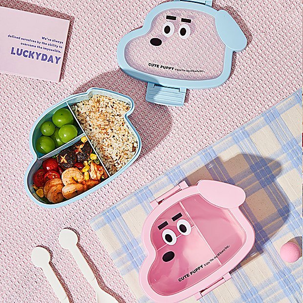 Divided Kids Bento Lunch Box